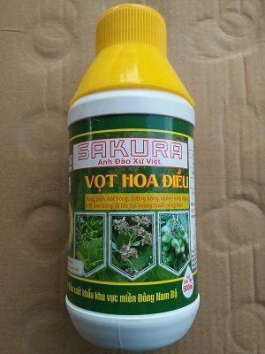 dr. Hoa sakura