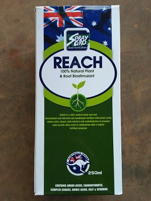 Reach sung cây, tốt rễ
