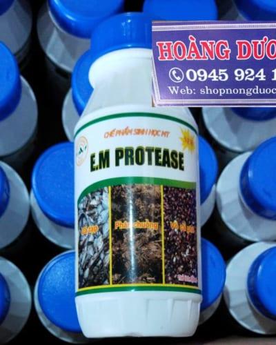 chế phẩm sinh học MT E.M protease