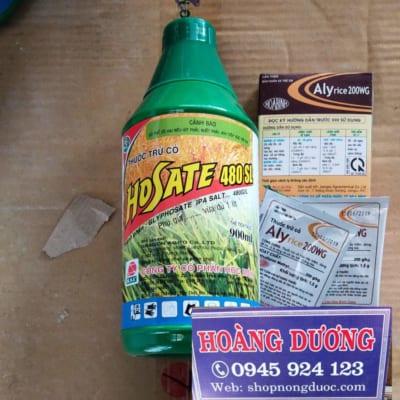 thuốc đặc trị cỏ mần trầu tận gốc