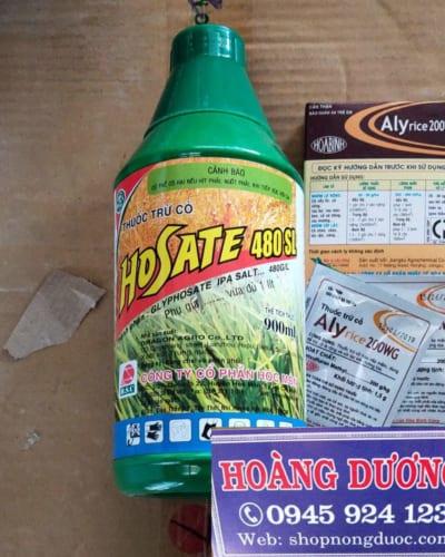 thuốc đặc trị cỏ mần trầu tận gốc