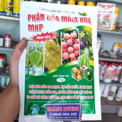 Phân hóa mầm hoa mkp đậm đặc