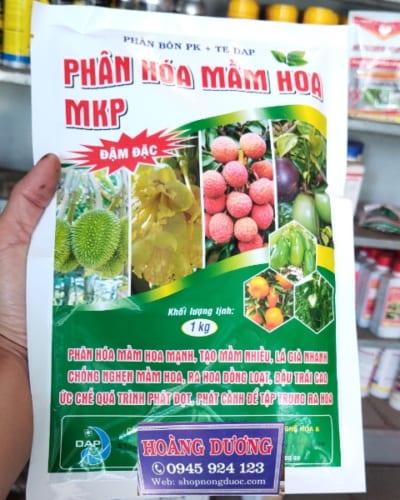 Phân hóa mầm hoa mkp đậm đặc