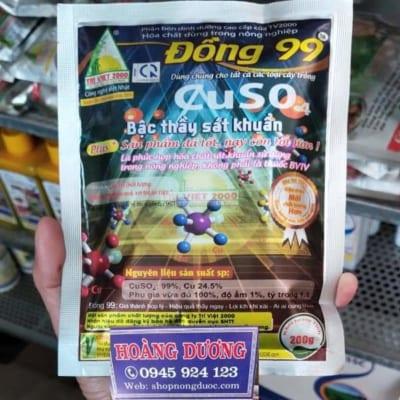 Đồng 99 bậc thầy sát khuẩn