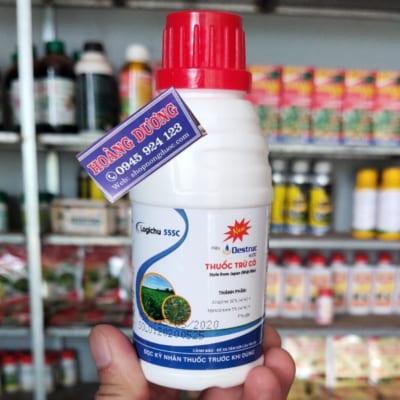 Thuốc trừ cỏ bắp ngô