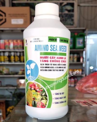 Phân bón lá NK sinh học amino seaweed