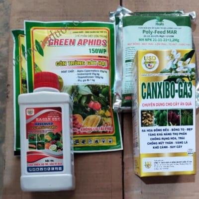 Bộ sâu nhện lớn trái lưu dẫn mạnh