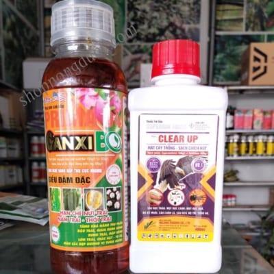 Bộ canxi bo và sâu bọ ngăn ngừa dị dạng bọng ruột sâu bọ chích hút