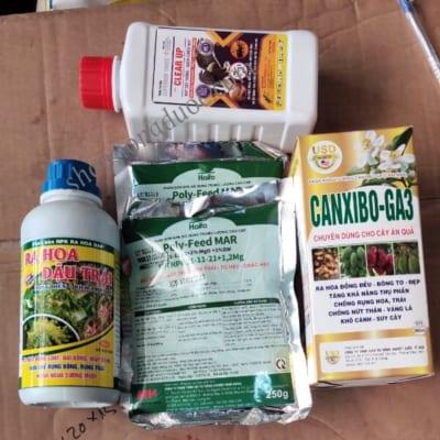Bộ dưỡng hoa tăng đậu trái dưỡng trái lớn trái
