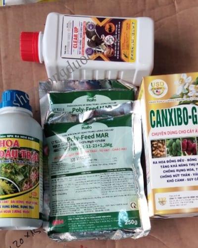 Bộ dưỡng hoa tăng đậu trái dưỡng trái lớn trái