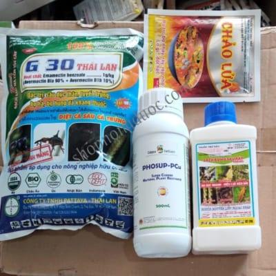 Bộ sâu rầy nấm bệnh trên lá dưới đất cho rau màu