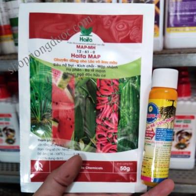 Cặp thuốc ra rễ cực mạnh Map ngâm dâm chiết phun tưới
