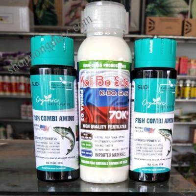 Trái phình to cơm dày quả ngọt hơn với bộ đạm cá kali bo sữa