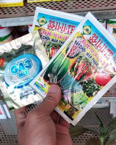 Thuốc ra rễ to thân mập đọt tốt lá 33-11 GA3