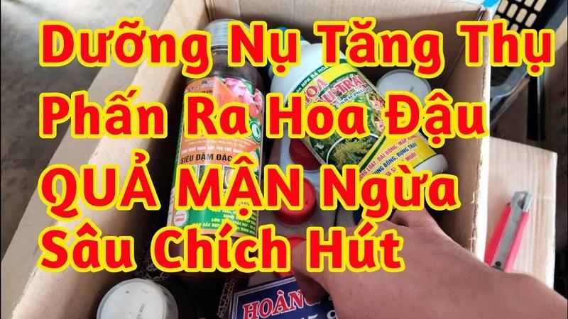 thuốc ra hoa mận, thuốc dưỡng trái mận, thuốc đậu trái mận, thuốc trị rệp sáp cho cây quả mận, thuốc trị bọ trĩ cho cây quả mận, thuốc trị sâu đục trái cho cây quả mận