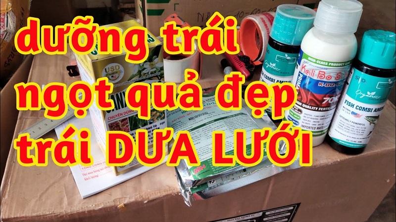 thuốc cho trái dưa lưới, thuốc đẹp trái dưa lưới, thuốc chắc trái dưa lưới, thuốc ngọt trái dưa lưới