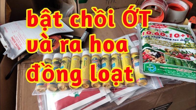thuốc bật chối ớt, thuốc phục hồi cây ớt, thuốc ra hoa ớt, thuốc ra hoa đồng loạt, thuốc đậu trái ớt, thuốc ra rễ ớt
