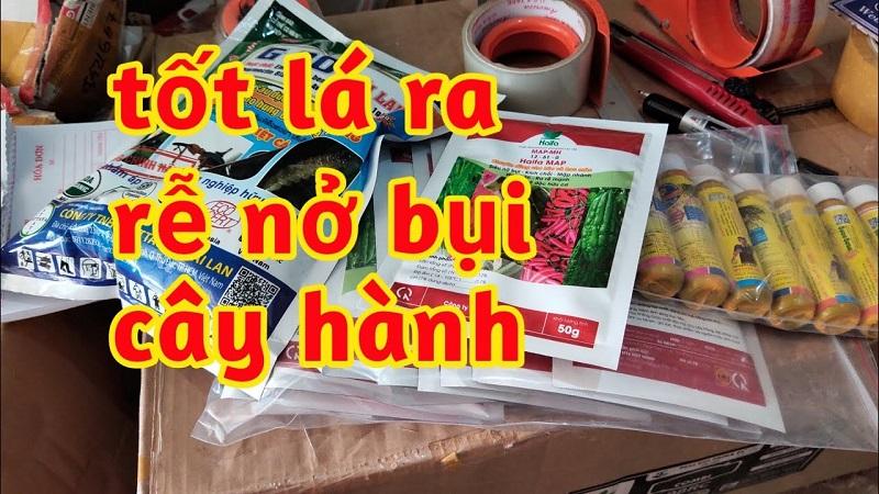 thuốc kích rễ cây hành, thuốc kích nở bụi cây hay, thuốc tốt lá hành