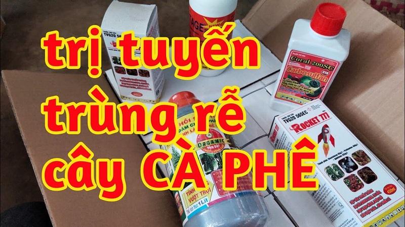 Thuốc trị tuyến trùng cây cà phê,Thuốc trị tuyến trùng rễ,thuốc ra rễ cực mạnh cho cây cà phê,thuốc trị u rễ cà phê,thuốc trị sưng rễ cà phê