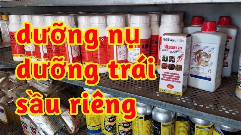 thuốc dưỡng nụ sầu riêng, thuốc tăng thụ phấn sầu riêng, thuốc dưỡng trái sầu riêng, thuốc lớn trái sầu riêng