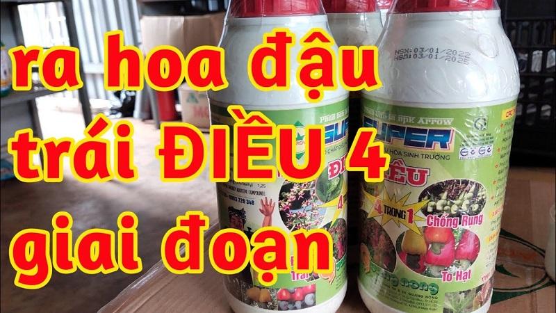 thuốc ra hoa điều, thuốc kích hoa điều, thuốc đậu trái điều, thuốc Chắc hạt điều, thuốc to hạt điều