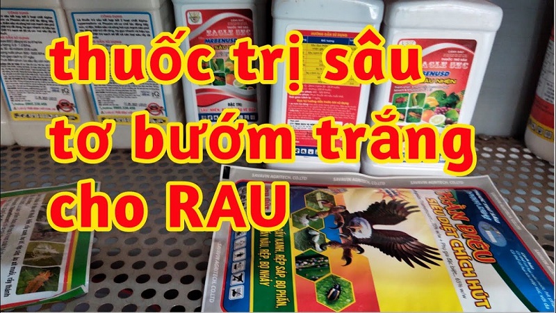 thuốc trị sâu tơ, thuốc trị bướm trắng, sâu rau, sâu to, thuốc trị bướm trắng