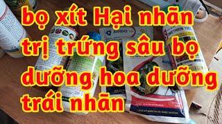 dưỡng hoa tăng đậu quả cho nhãn dưỡng trái chống rụng trái non phòng trị bọ xít sâu rầy diệt trứng