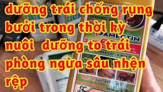 dưỡng quả chống rụng bưởi trong thời kỳ nuôi dưỡng lớn trái ngăn chặn sâu vẽ bùa nhện đỏ rệp 023 213