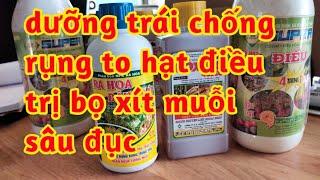 dưỡng trái to hạt chống rụng phòng trị bọ xít muỗi sâu đục hạt điều 023 133