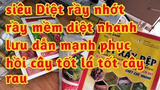 lưu dẫn mạnh diệt nhanh rầy mềm rầy nhớt cho vườn rau phục hồi cây tốt rễ tốt lá mập cây rau 023