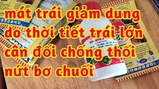 mát trái Giảm dung do nóng lạnh quá thời tiết thay đổi đột ngột giúp trái lớn cân đối cho bơ chuối