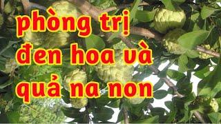 phòng trị đen hoa và thối cuống đen trái na non 023 193