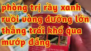 phòng trị rầy xanh ruồi vàng dưỡng lớn thằng trái mướp đắng khổ qua trái to đẹp đều 023
