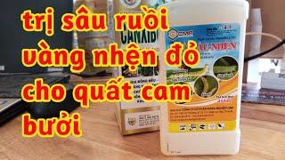 phòng trị sâu ruồi vàng nhện đỏ dưỡng hoa trái chống rụng cho quất cam bưởi 023 133
