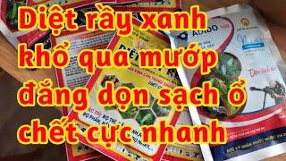 trị rầy xanh cho khổ qua mướp đắng diệt cực nhanh dọn sạch ổ lưudẫn mạnh tác động thầnkinh côn trùng