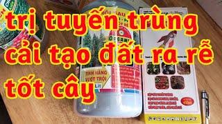 trị tuyến trùng rễ hộp sáp gốc cho cây thuốc lá phục hồi rễ tốt cây 023 313