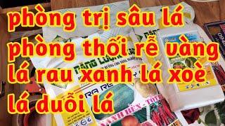 cây rau ra rễ mạnh xanh lá thẳng lá hạn chế vàng lá thối rễ phòng trị sâu ổn định ph đất giảm chua