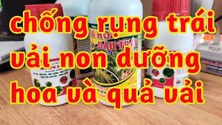 chống rụng Hoa Quả vải non mát bông mát trái dưỡng trái non chống thời tiết bất lợi như nóng lạnh