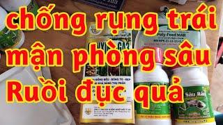 dưỡng lớn trái chống rụng quả mân chắc trái to tròn phòng trị sâu Ruồi đục quả 023 104