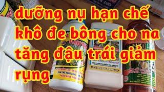 dưỡng nụ hạn chế những cái non cho na phòng sâu bọ hết khô đen bông tăng sức chống chịu thời tiết