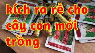 giải độc phèn độc hữu cơ kích ra rễ cho cây con mới trồng phun hoặc tưới gốc 023 44