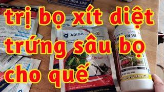 trị bọ xít và sâu rầy trên cây quế trị trứng côn trùng diệt sạch ổ 023 44