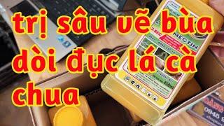 trị dòi đục lá cà chua sâu vẽ bùa 023 154