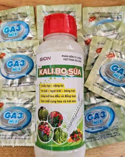 Bộ kaly bo sữa ga3 mix to chắc trái
