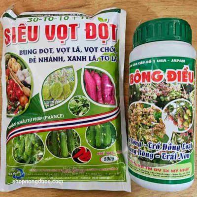 Cặp đôi bung đọt vọt ra nhiều hoa điều