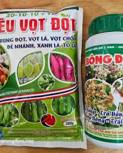 Cặp đôi bung đọt vọt ra nhiều hoa điều