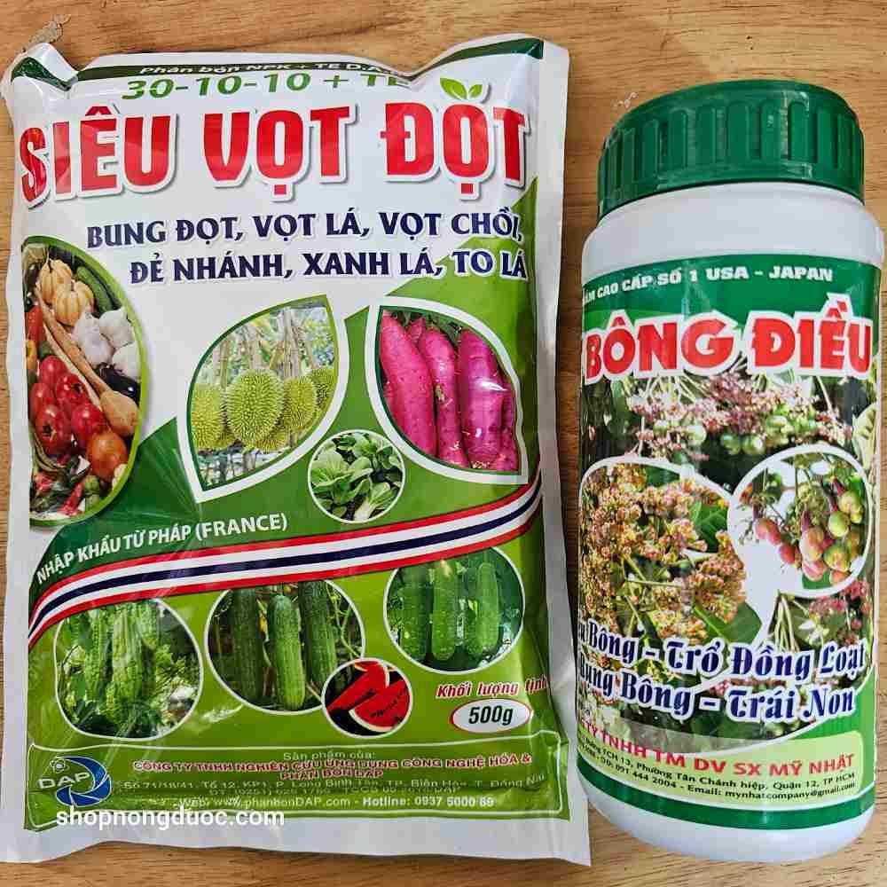Cặp đôi bung đọt vọt ra nhiều hoa điều