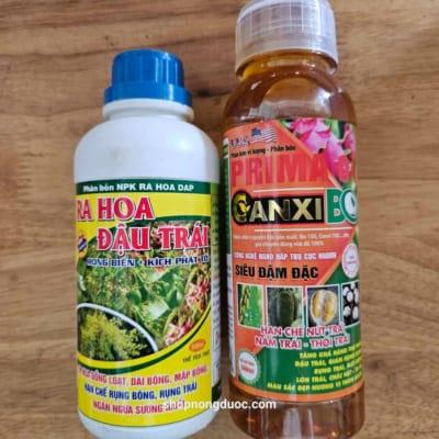 Cặp kích ra nhiều hoa tăng đậu trái