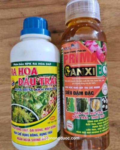 Cặp kích ra nhiều hoa tăng đậu trái