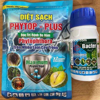 Bộ phytop plus 200g và Bacter 240ml